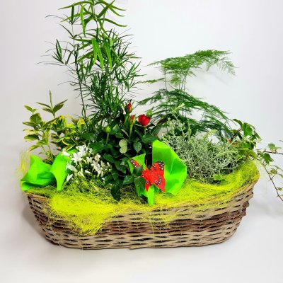 Sesazovaný koš Agáta