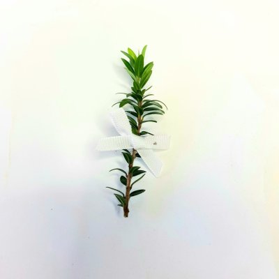 Myrta pro svatebčany