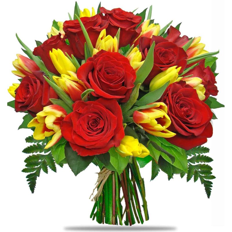 Rote Rosen und Tulpen