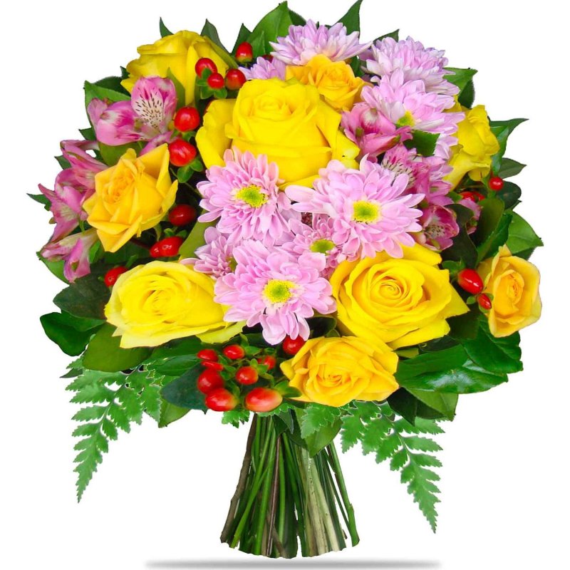 Кора головного мозку