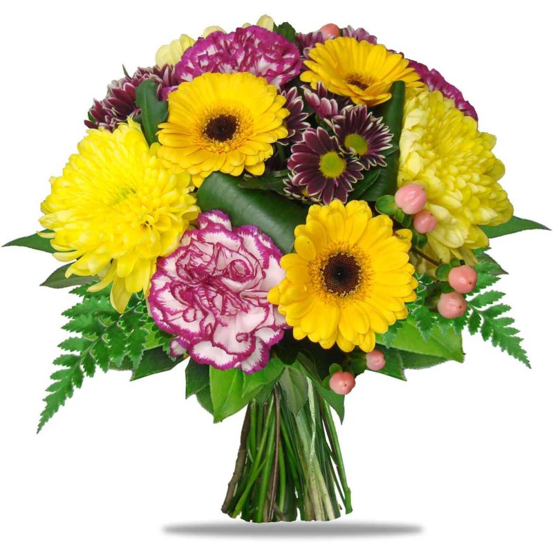 Čerstvé germini a karafiáty