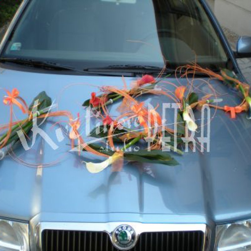 Arrangements für Wagen Nr. 139