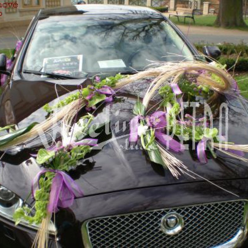Arrangements für Wagen Nr. 135