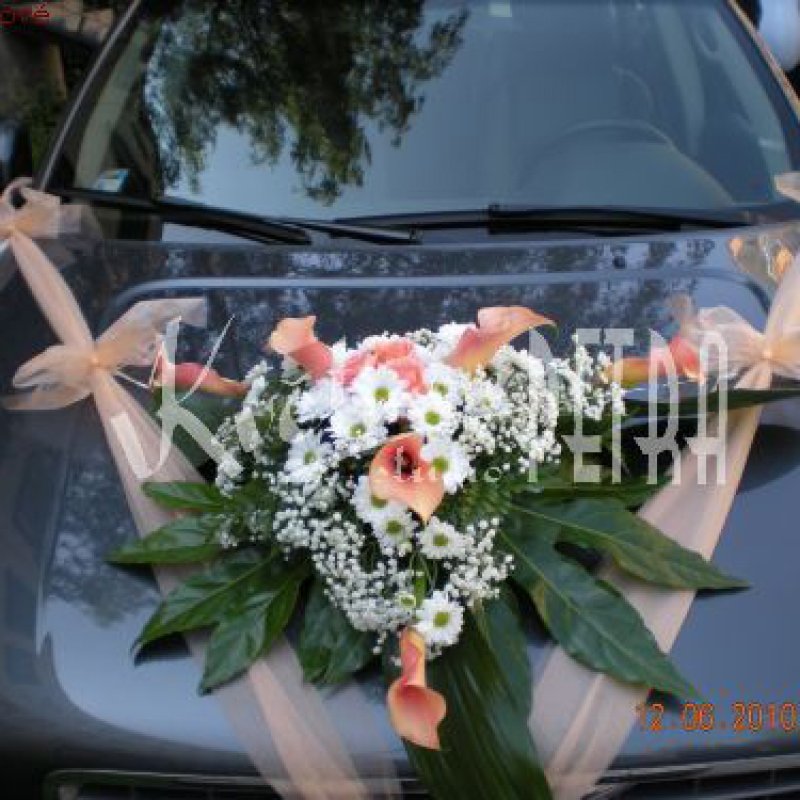 Ustalenia dotyczące samochodu nr 124