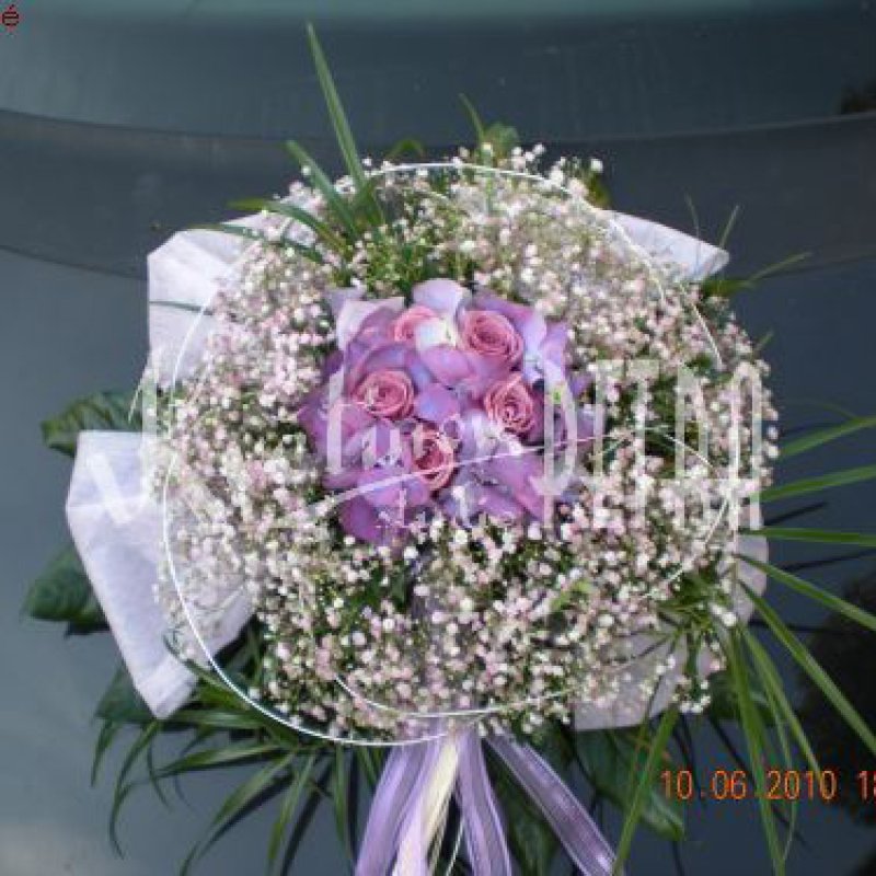 Arrangements für Wagen Nr. 125