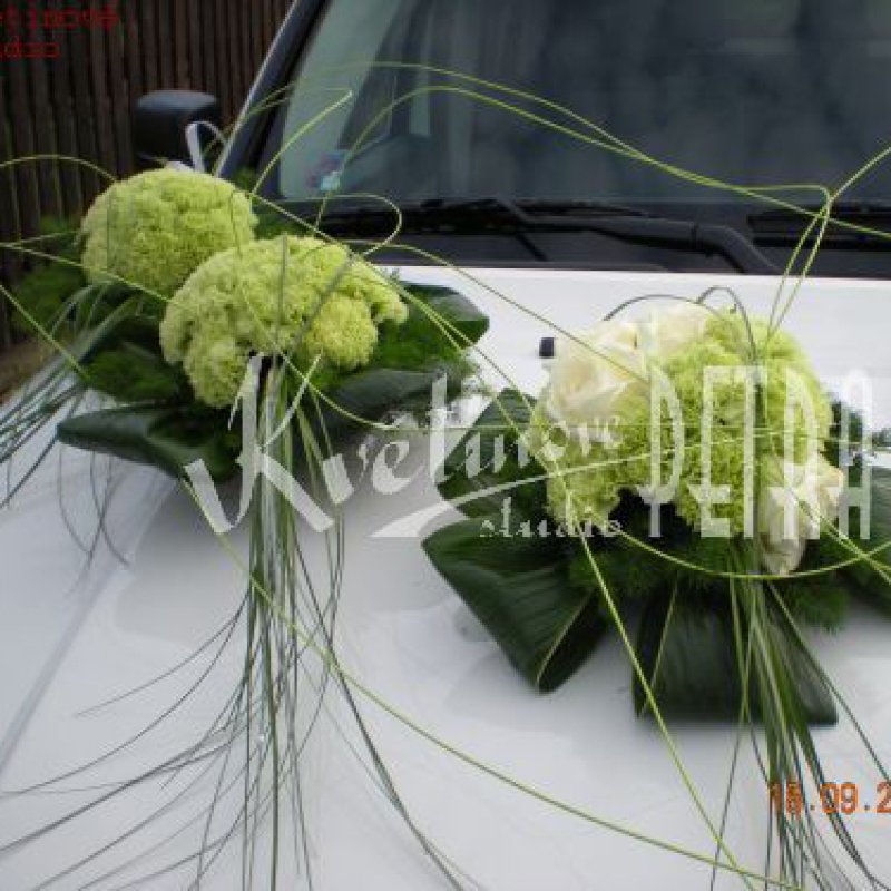 Ustalenia dotyczące samochodu nr 111