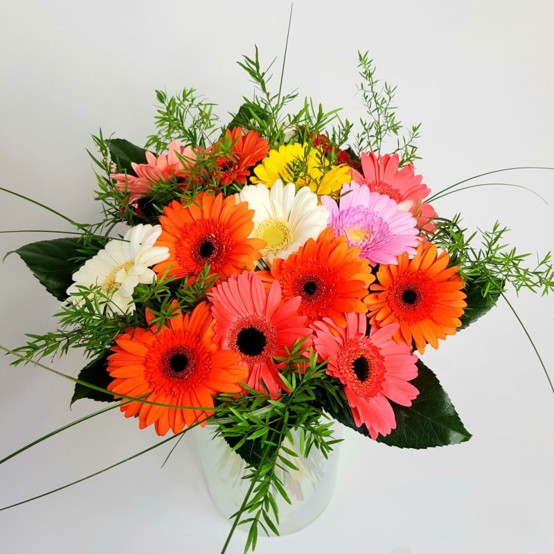 Подарунковий букет гербер Флорентина
