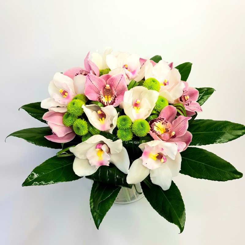 Bukiet orchidei Melanie