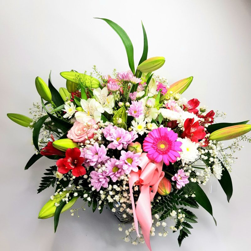 Durchbohrte Anordnung Vanda