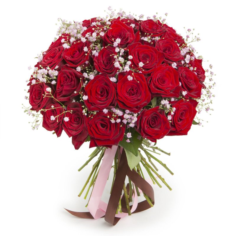 Червоні троянди та гіпсофіла