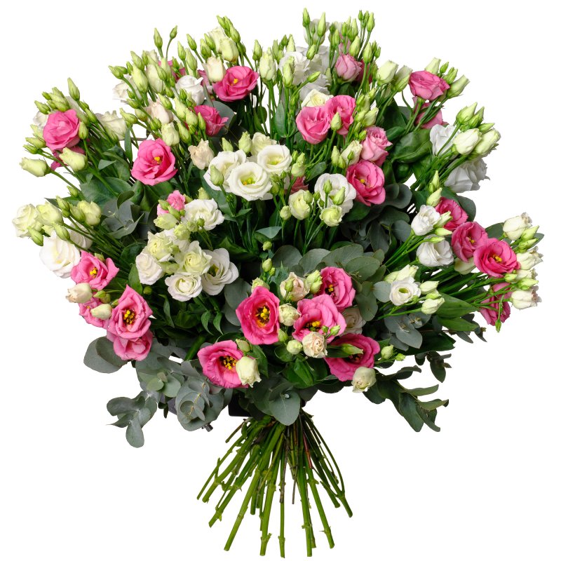 Еустома з евкаліптом