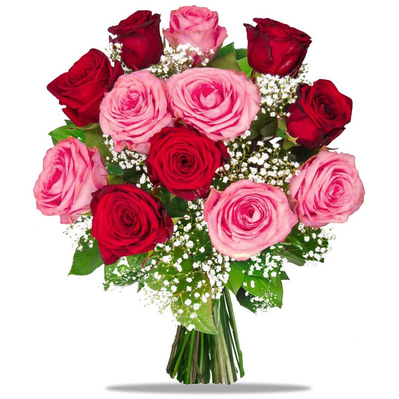 Exklusive Rosen-Kombination