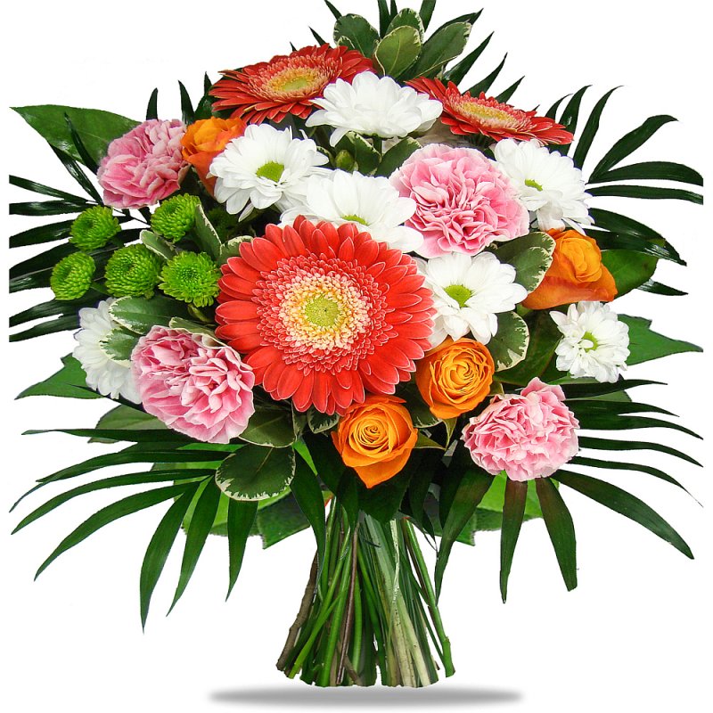 Елегантність